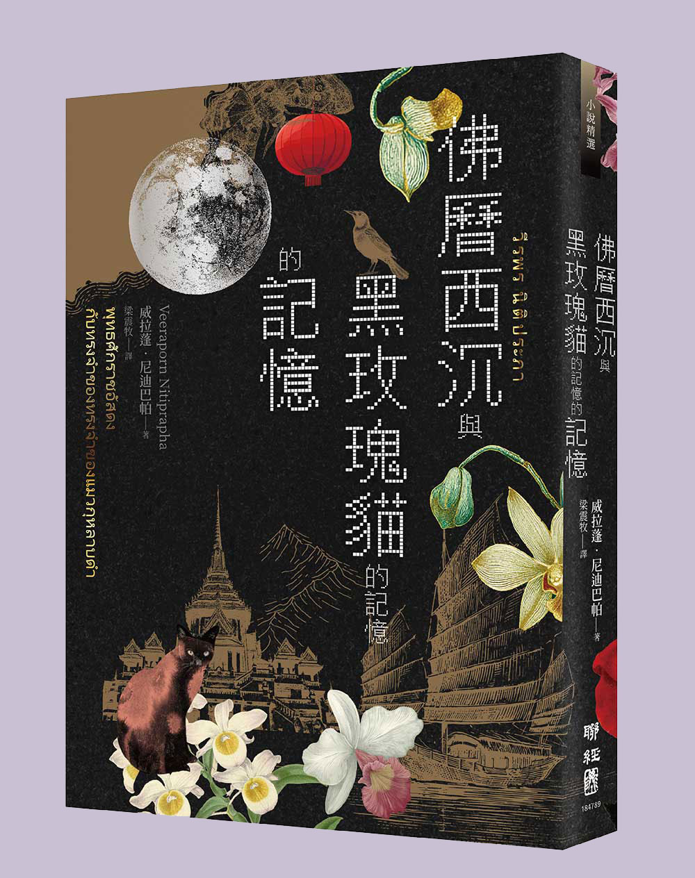 佛曆西沉與黑玫瑰貓的記憶